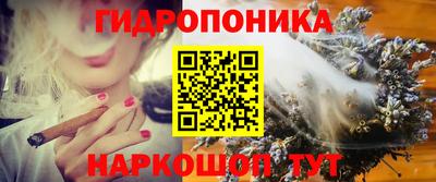 дмт Будённовск