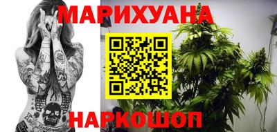 дмт Будённовск