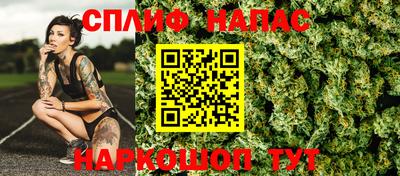 дмт Будённовск
