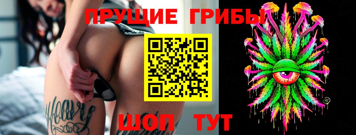Галлюциногенные грибы Psilocybe  Галлюциногенные грибы Magic Shrooms  где купить   Вход с VPN  Ухта 